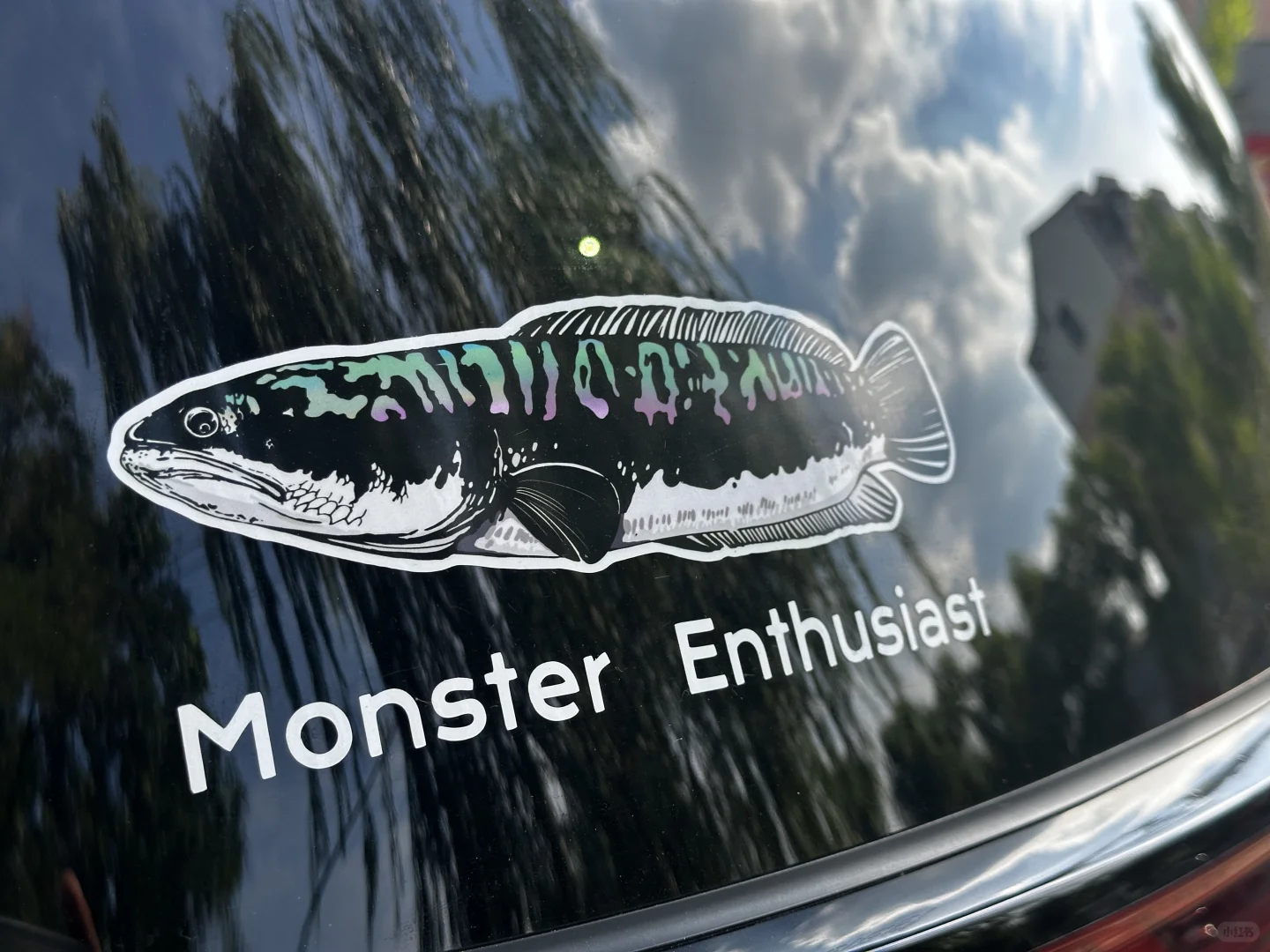 广州水族展里好玩的文创店 最强伴手礼