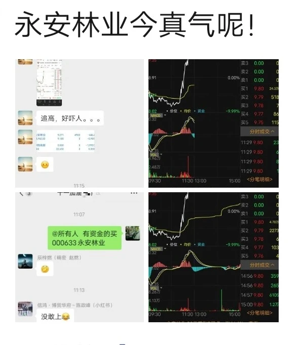 永安林业扳回一局