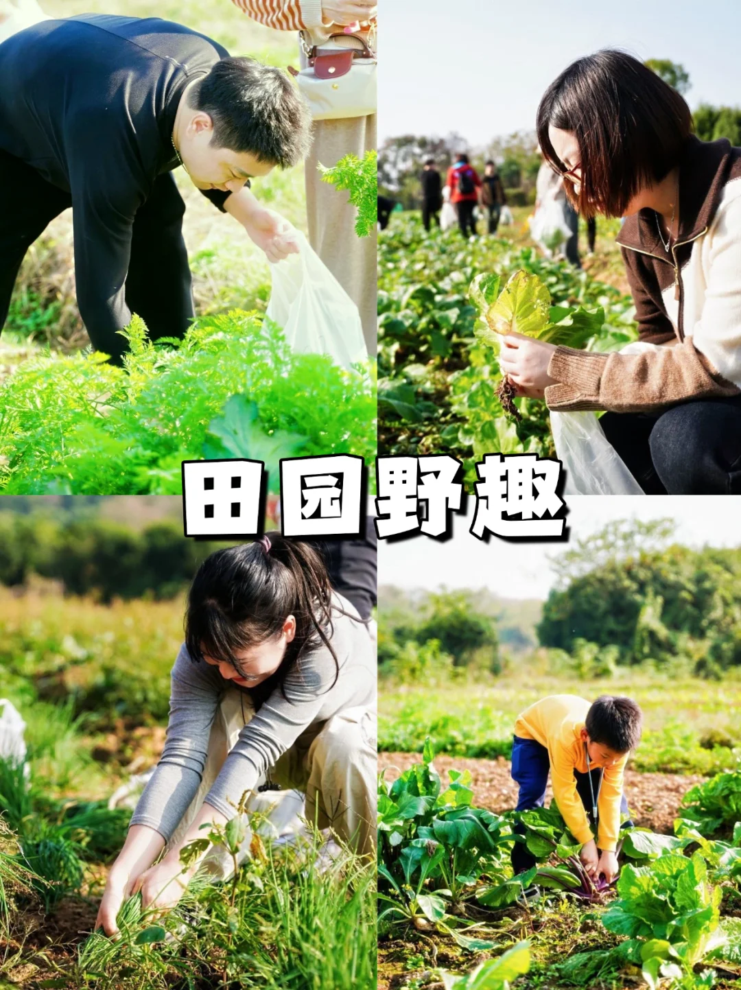 武汉团建|农庄一日躺平,烟火?气团建