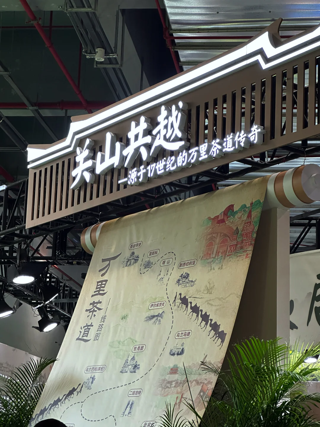 2025武夷山茶博会攻略