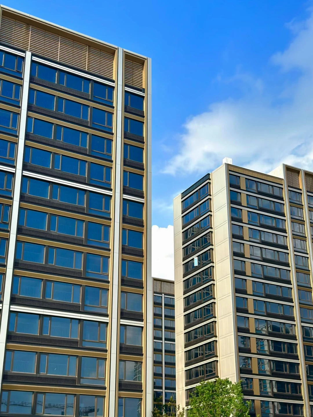 7开头?买下会展核心地！吾悦旁 降价楼盘！?