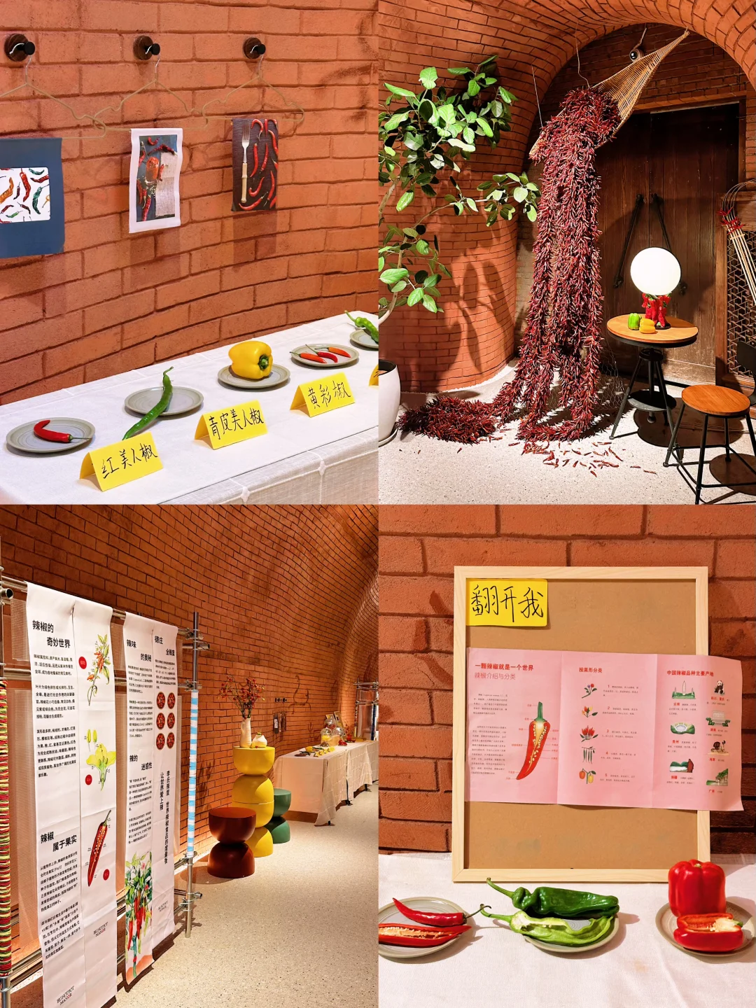 重庆茶园新展｜2025「趣·辣」辣椒展?️