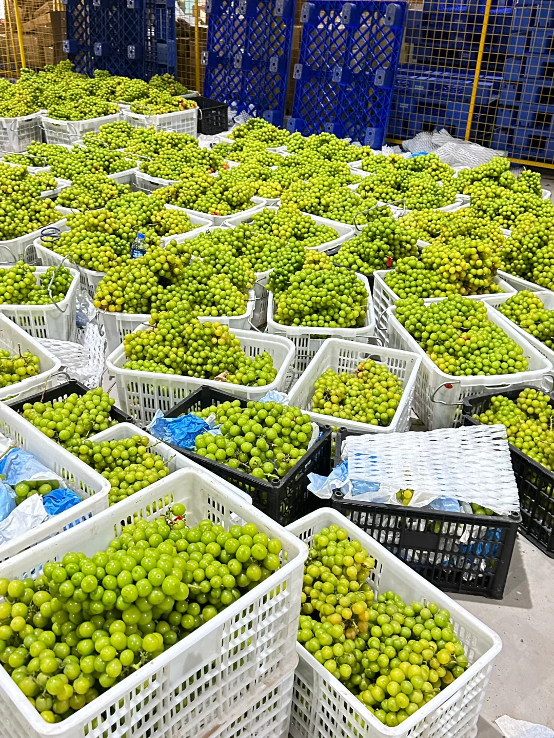 就算是拿去丢。。。 也不拿来卖?