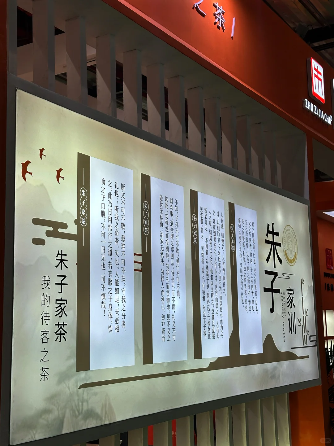 2025武夷山茶博会攻略