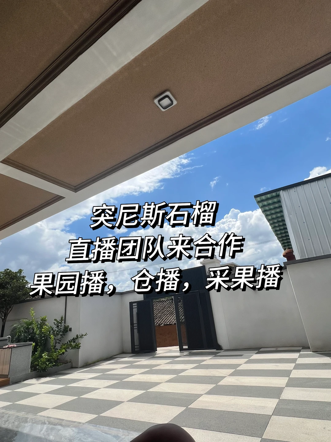 来产地的直播团队