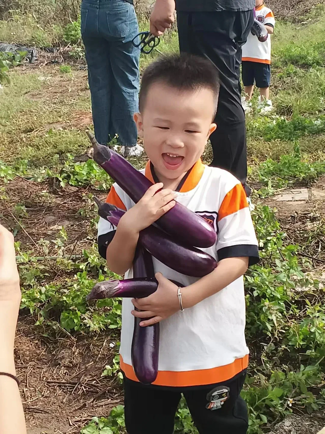 玉林五彩田园果蔬，摘不完，根本摘不完。