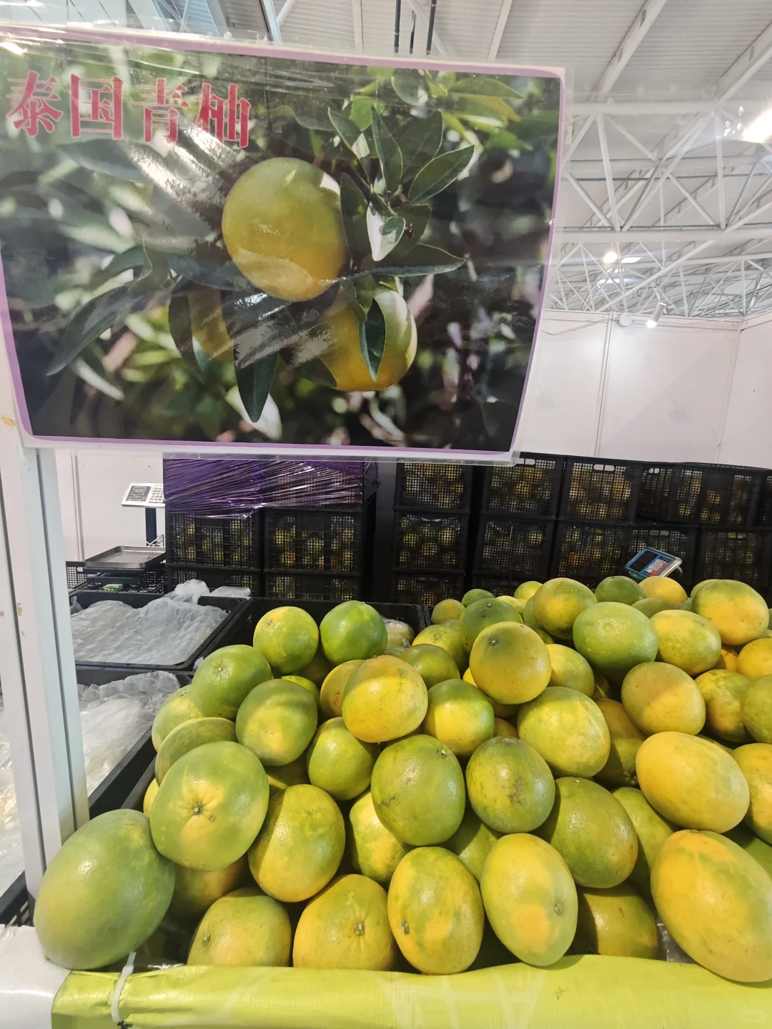 济南这个展要空腹来！免费试吃超爽