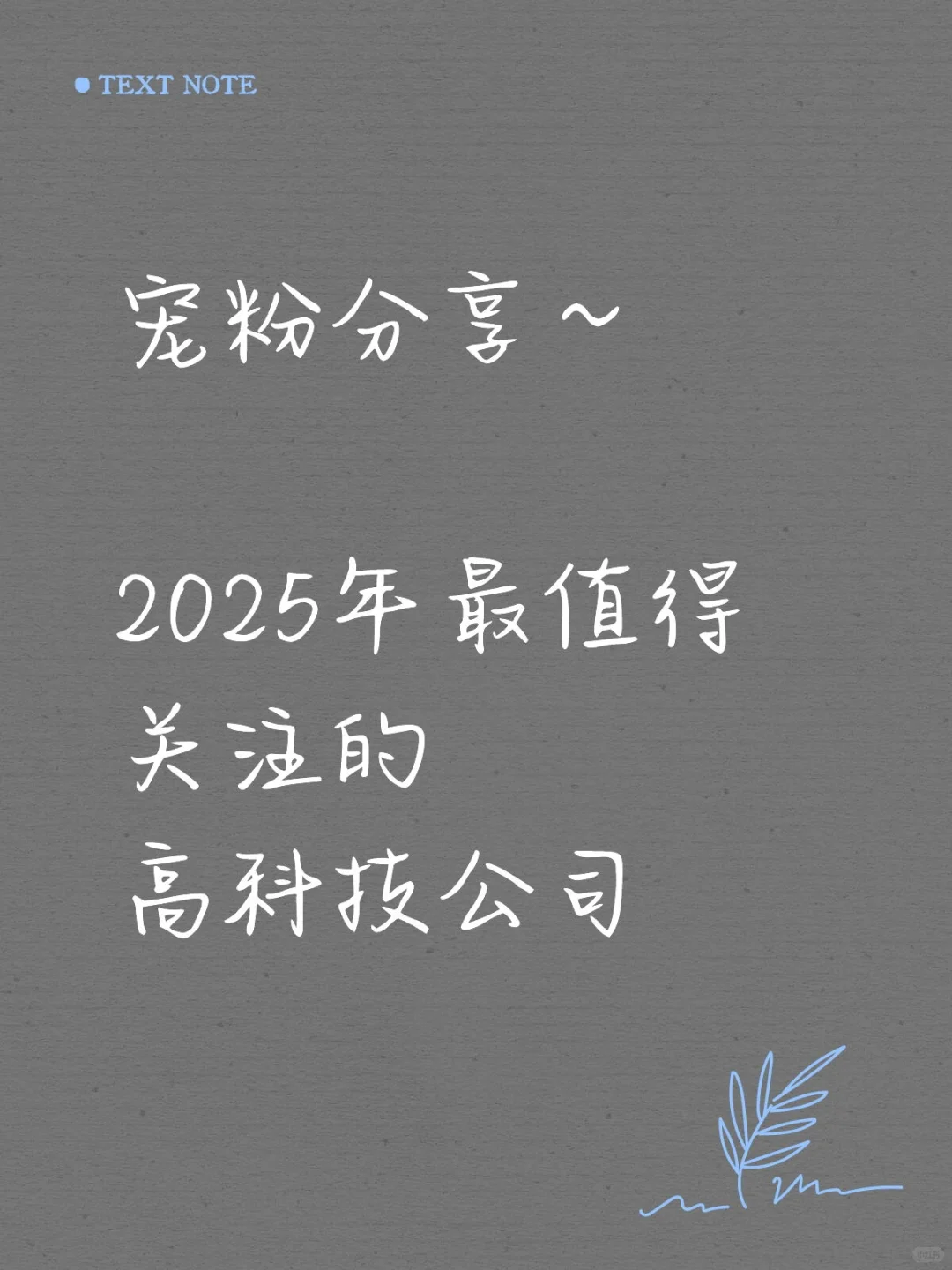 2025年的科技之光潜力公司