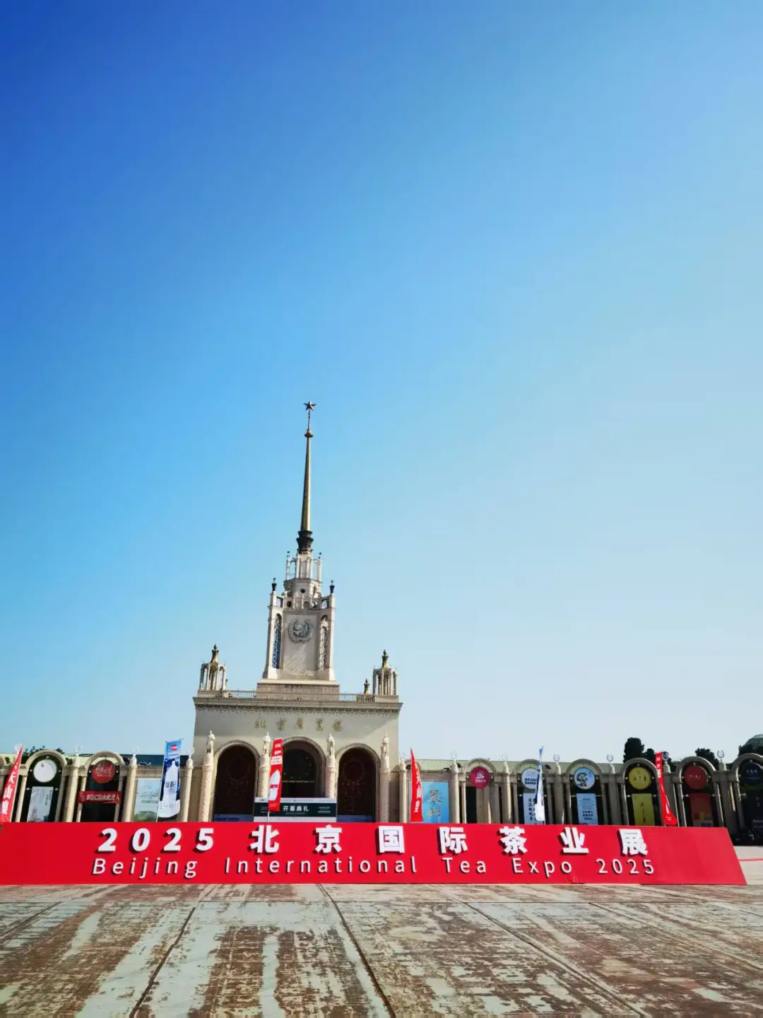 2025年北京国际茶叶展火爆进行中！！！