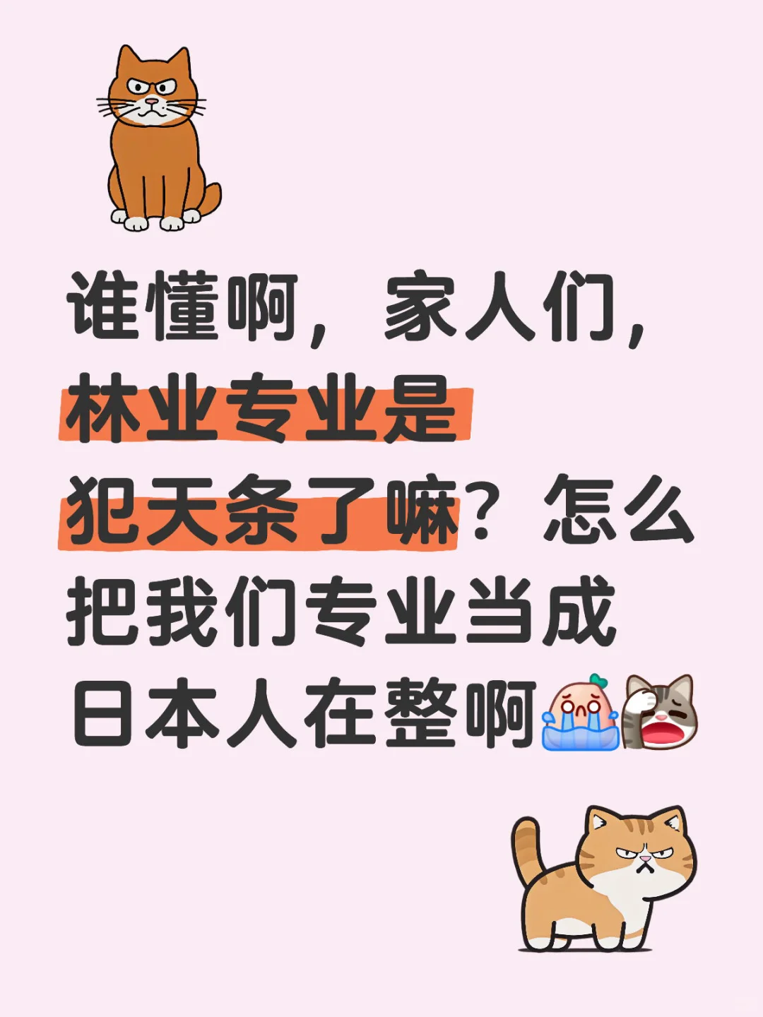 林业就业就像风捉摸不透