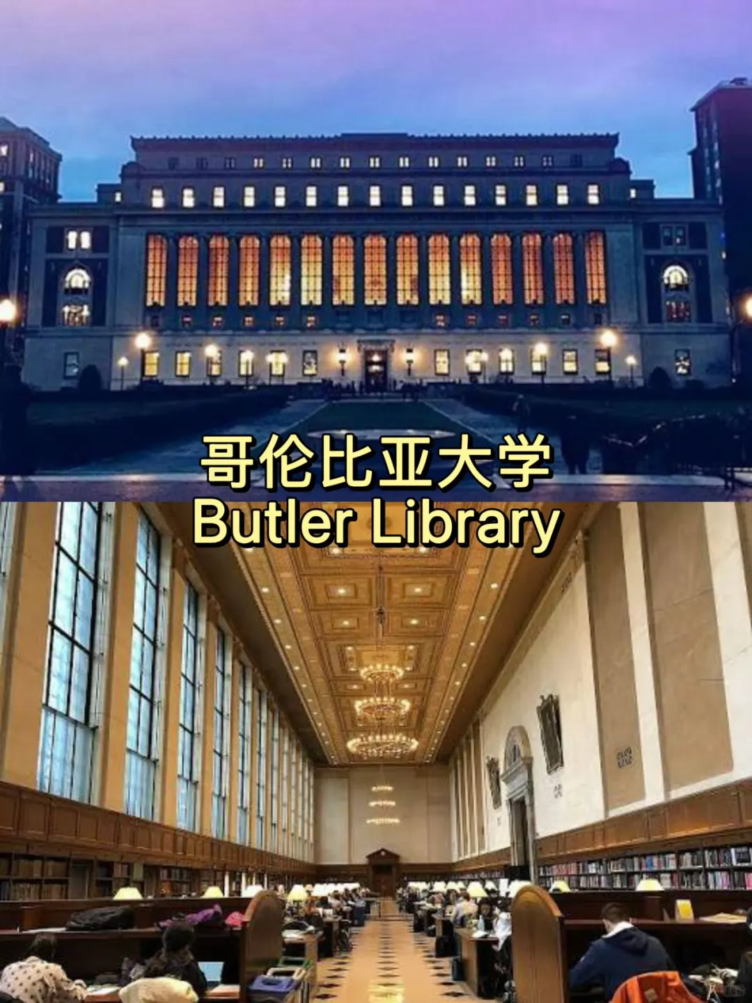 美国大学校园篇✨高颜值图书馆盘点