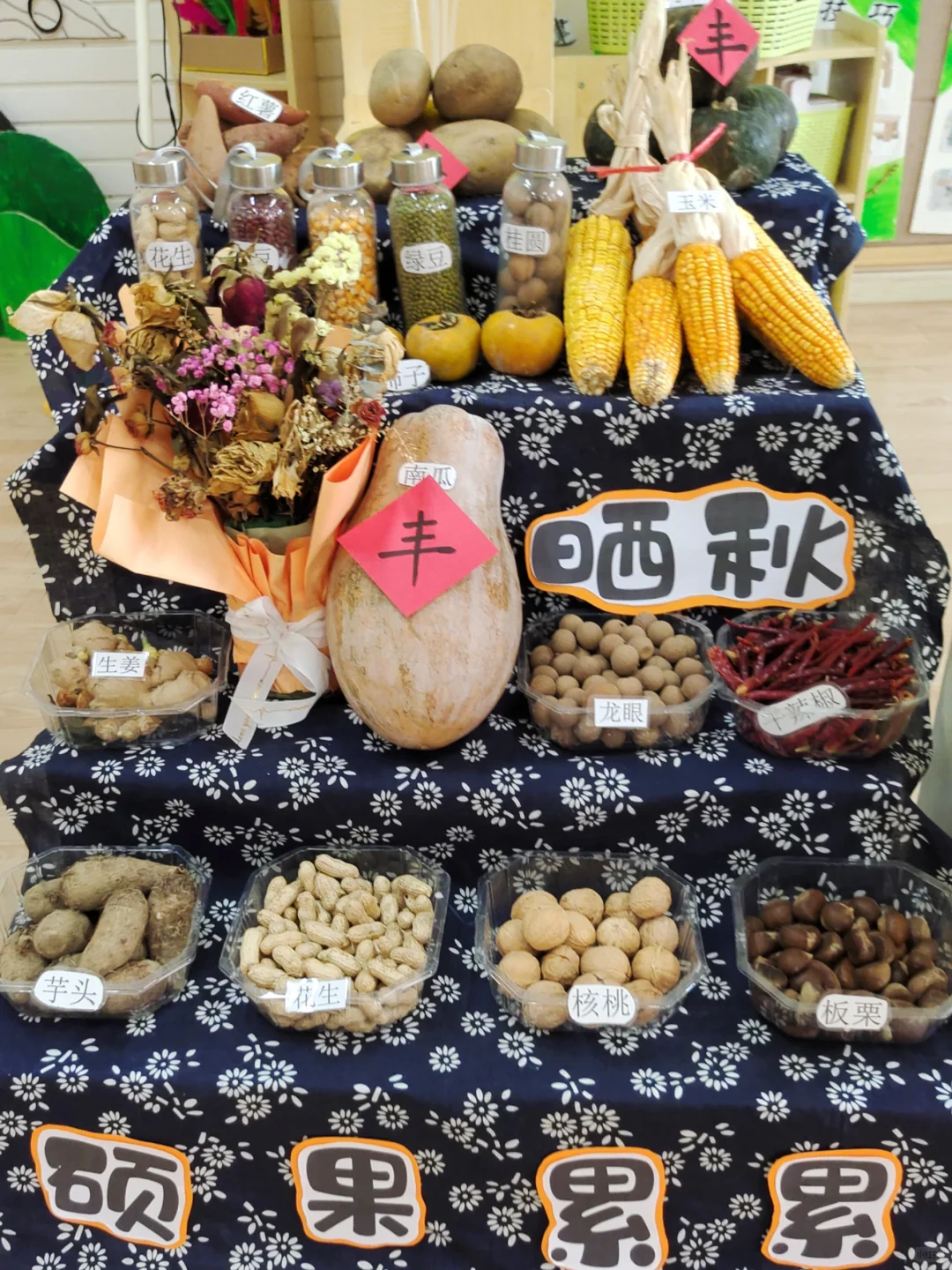 幼儿园晒秋活动｜幼儿园环创?