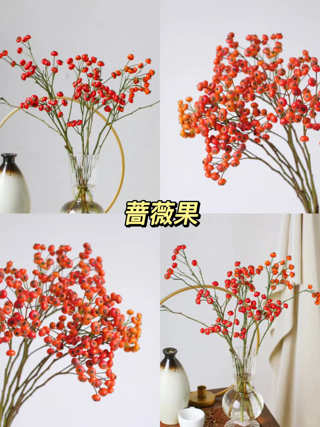 原来还有果实鲜切枝这种东西！！