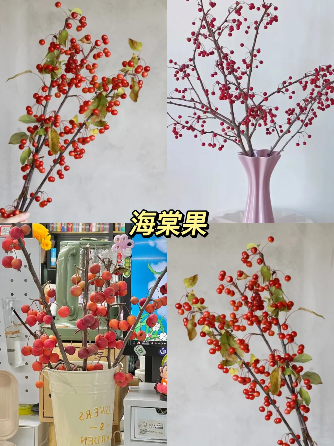 原来还有果实鲜切枝这种东西！！