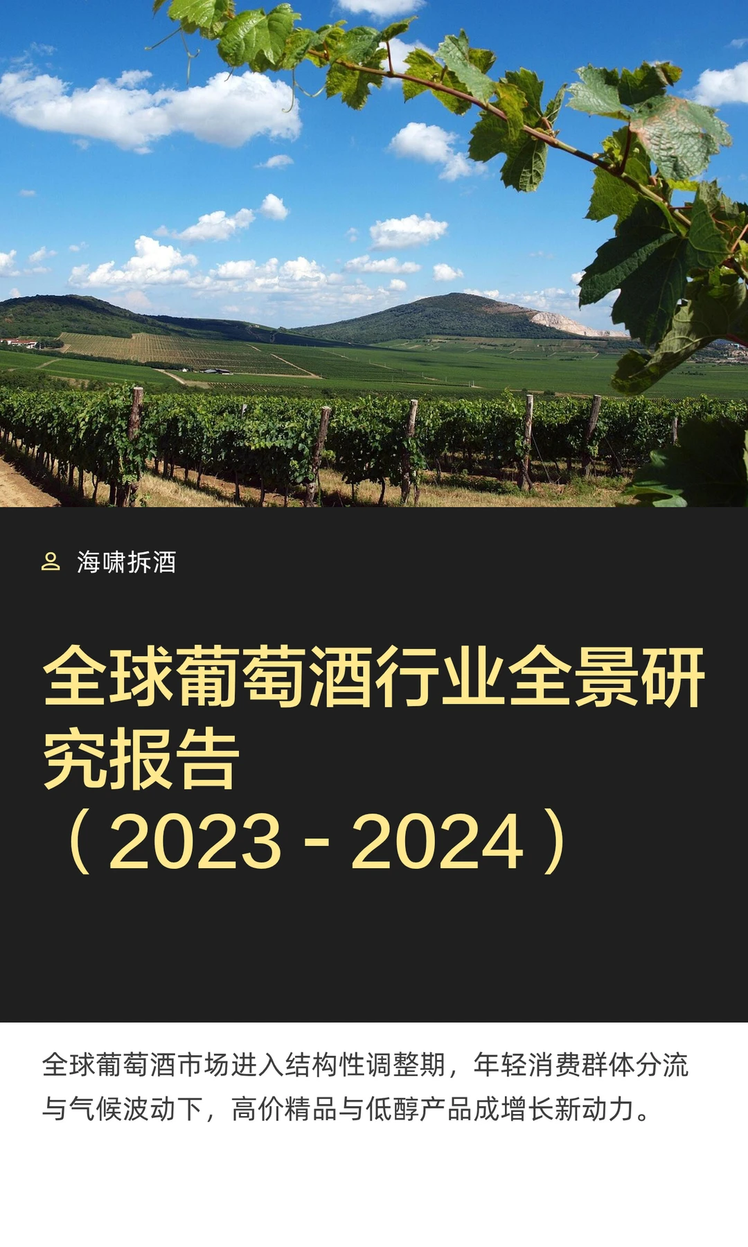 全球葡萄酒行业全景研究报告（2023‑2024）