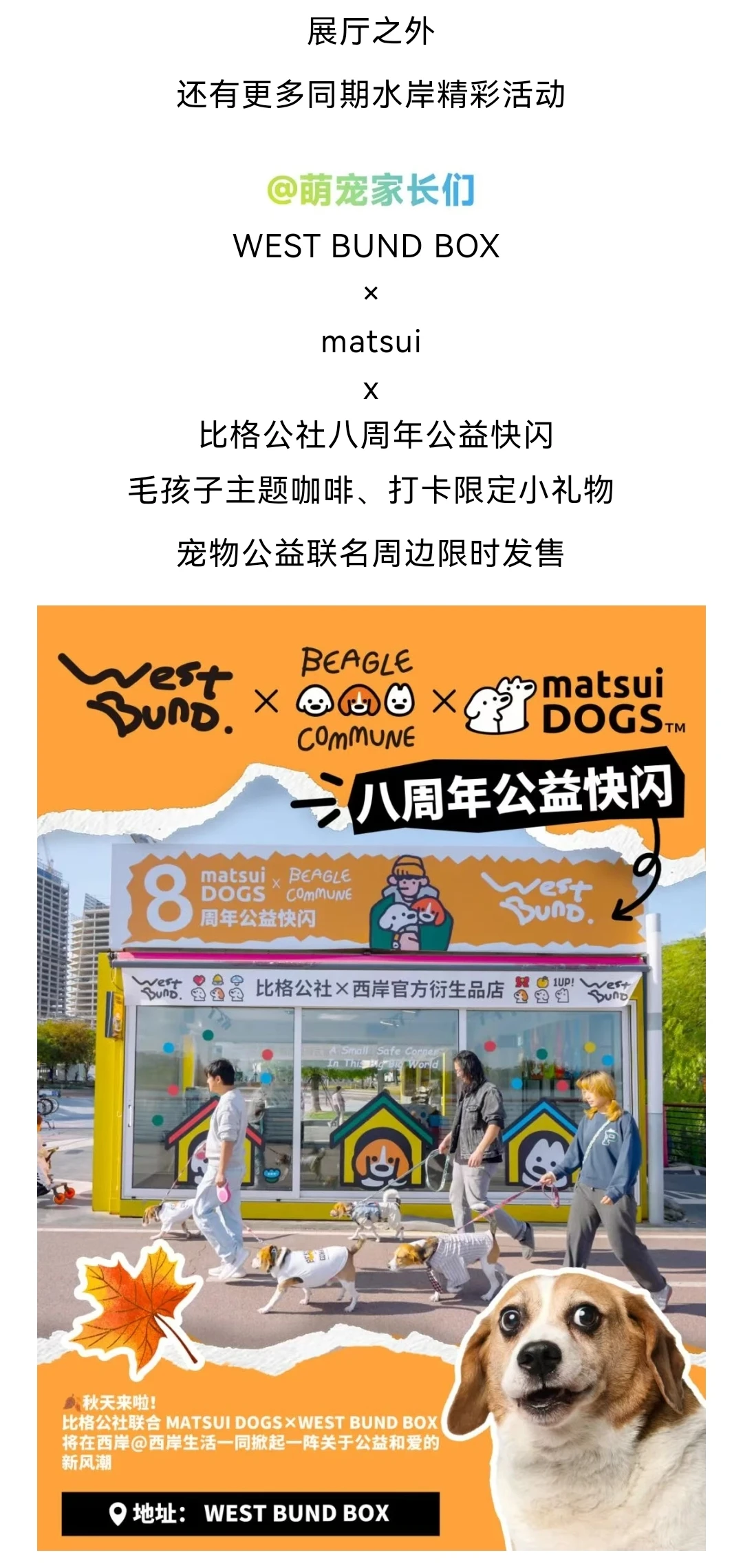 2025西岸艺术与设计周?️出游全攻略！