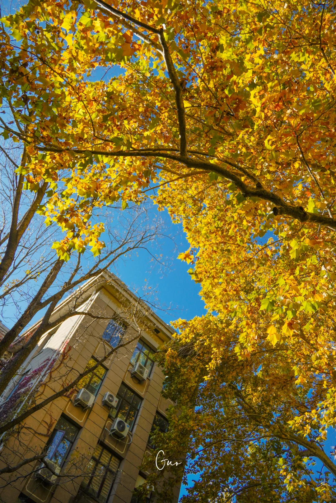 留住秋天的一百种方式