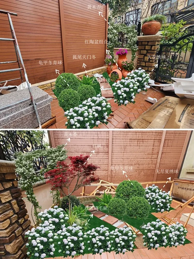 适合花园种的果树系列 花园一定要种棵果树