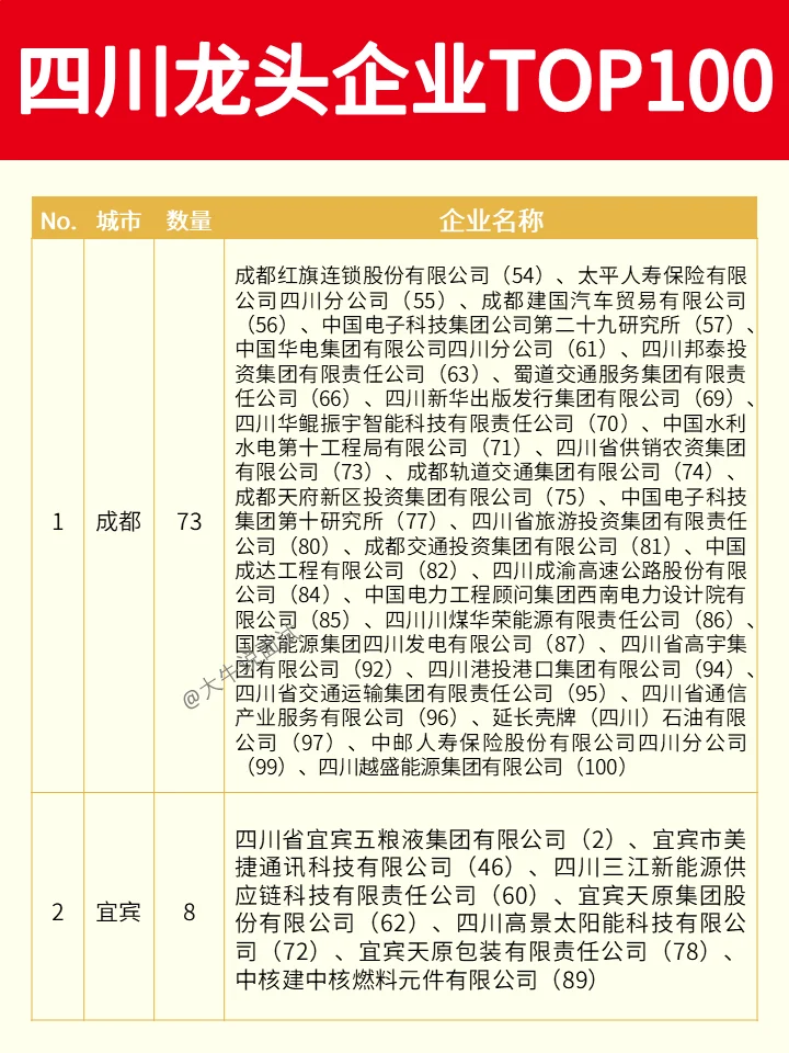 四川龙头企业TOP100❗