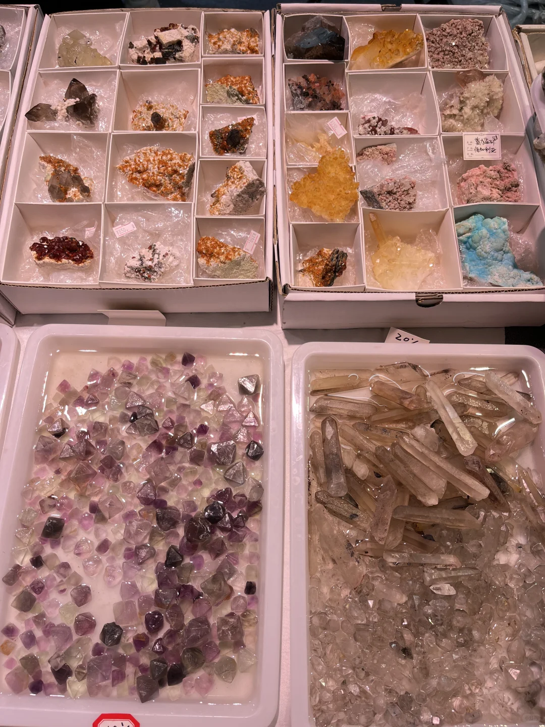 东海水晶矿物博览会结束?美物共赏