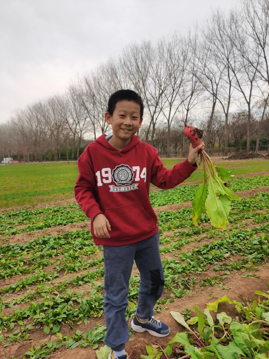 通州潞城遛娃可以去！
