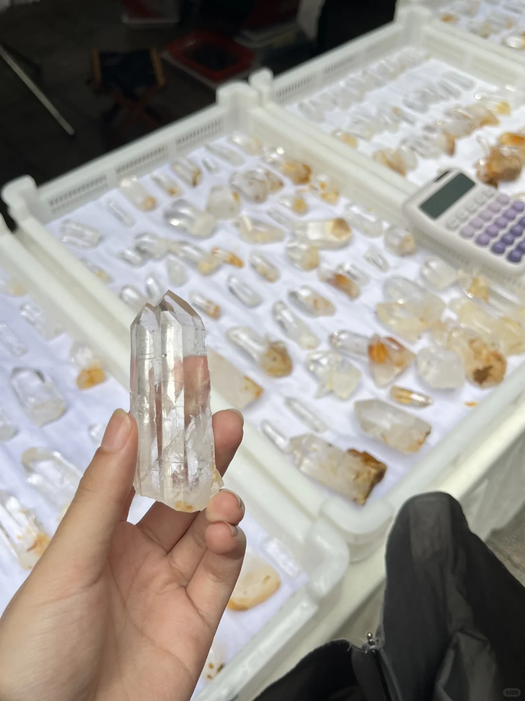 东海水晶矿物博览会结束?美物共赏
