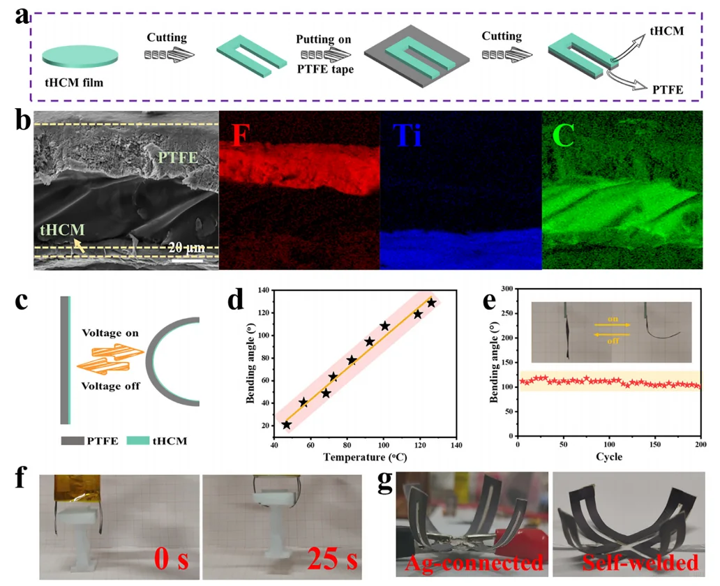 焊接MXene-CNTs混合薄膜多刺激响应执行器