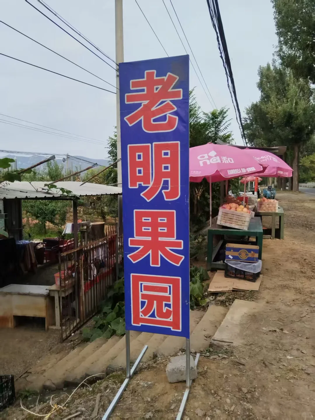 谁说北京秋冬只能逛公园?来昌平苹果小镇!