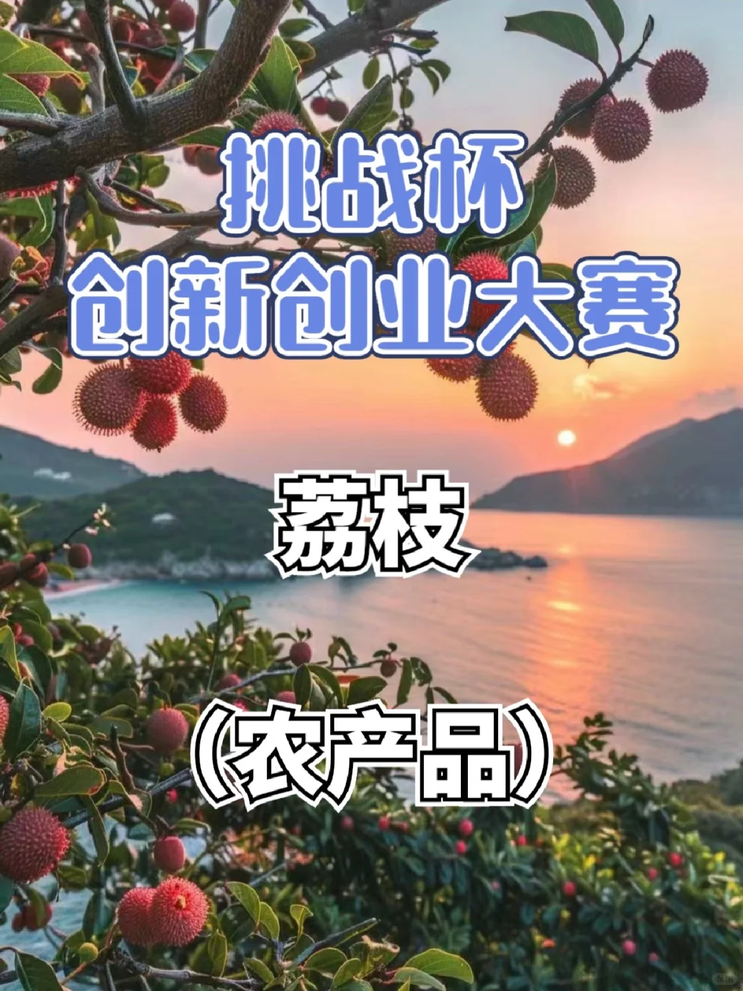 农产品-荔枝/创新创业大赛