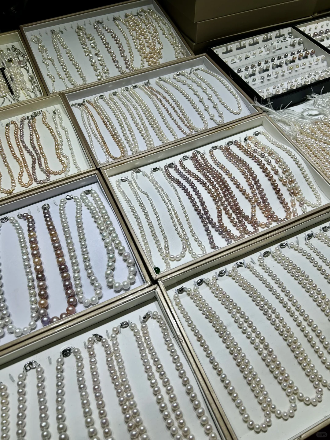 长沙 农博会（带上你懂货会砍价的姐妹冲）