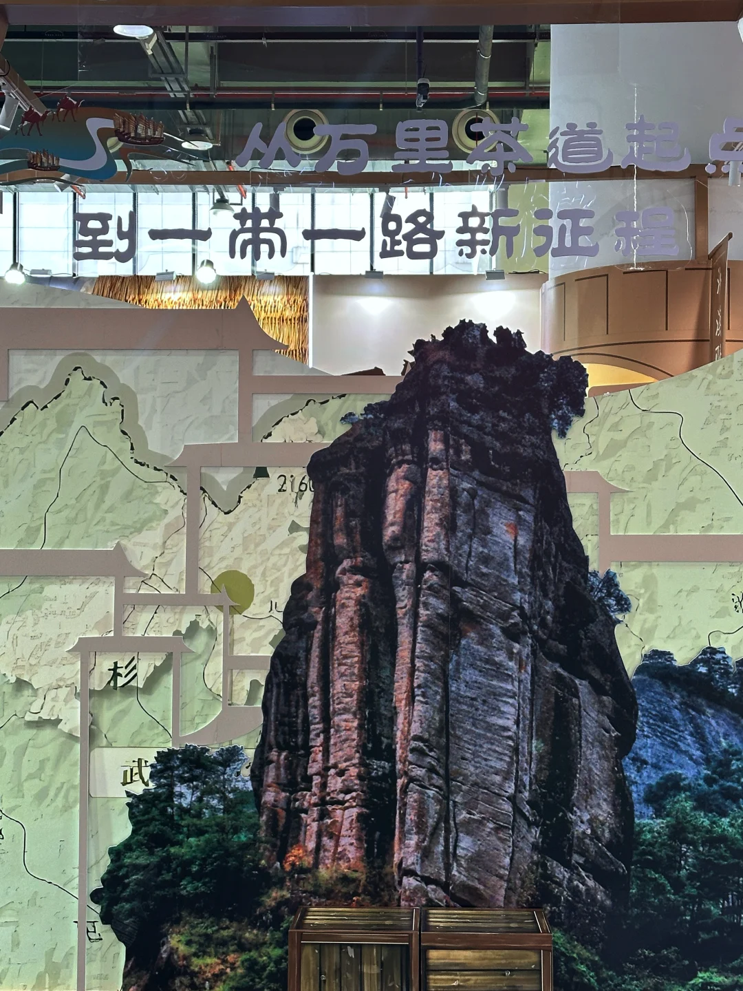 2025武夷山茶博会攻略