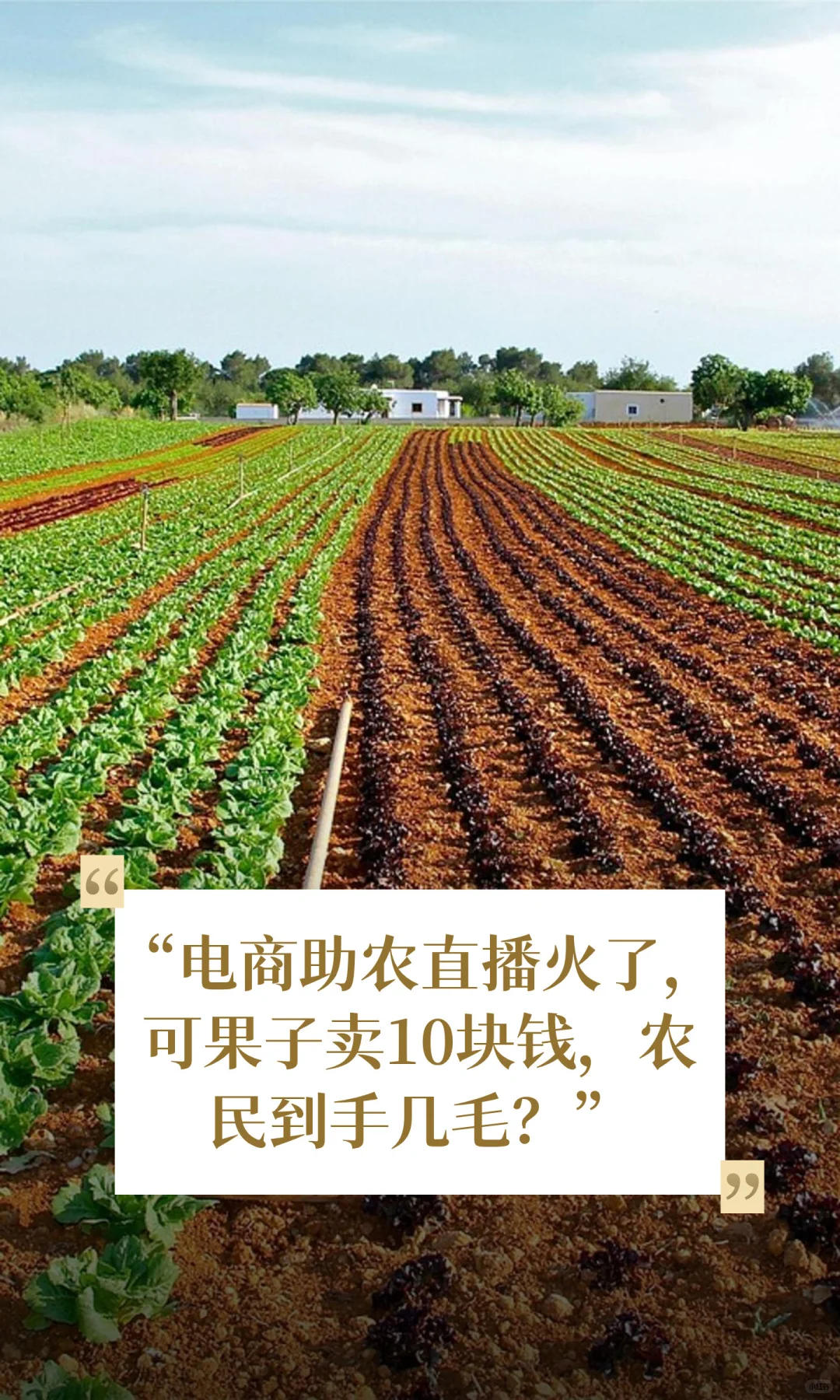 “电商助农直播火了，可果子卖10块钱，农民