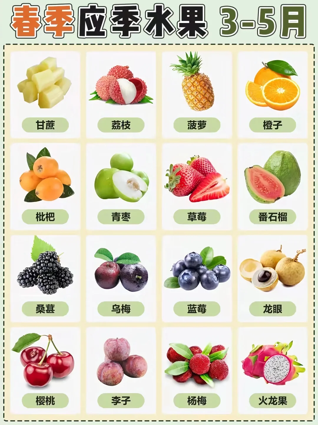 水果集合