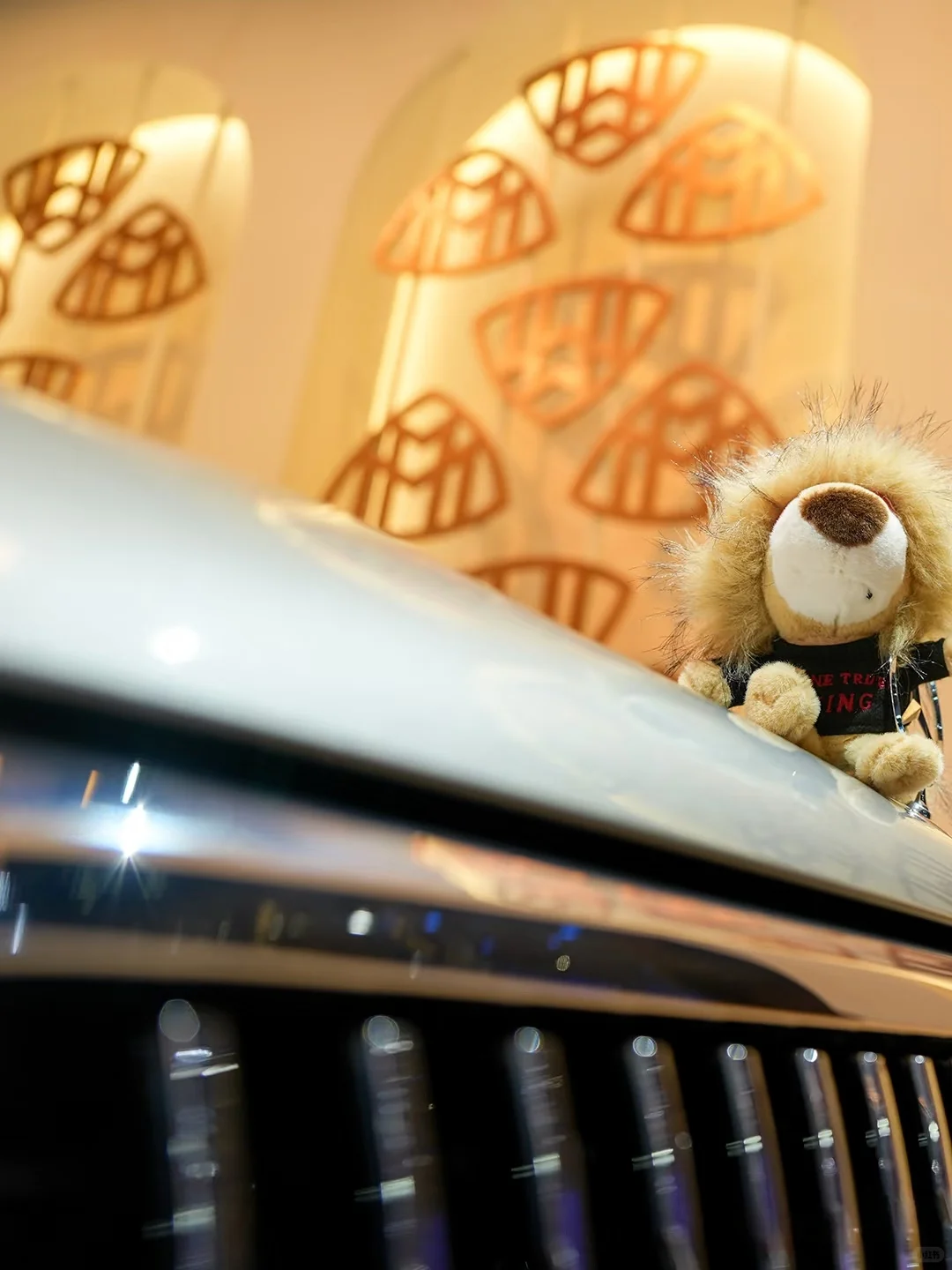 ?就喜欢这个金牛座CLA和小狮子?