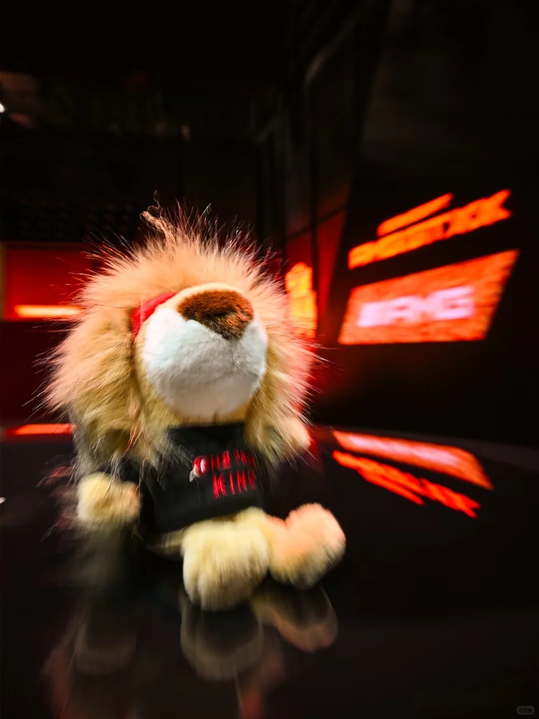 ?就喜欢这个金牛座CLA和小狮子?