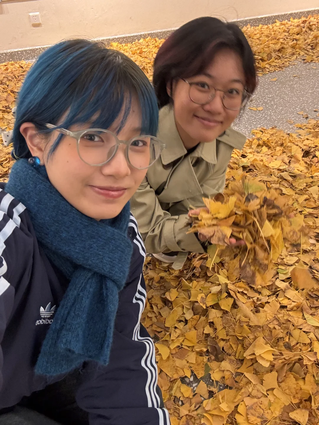 秋天降临设计大楼?上交设计有新展了！