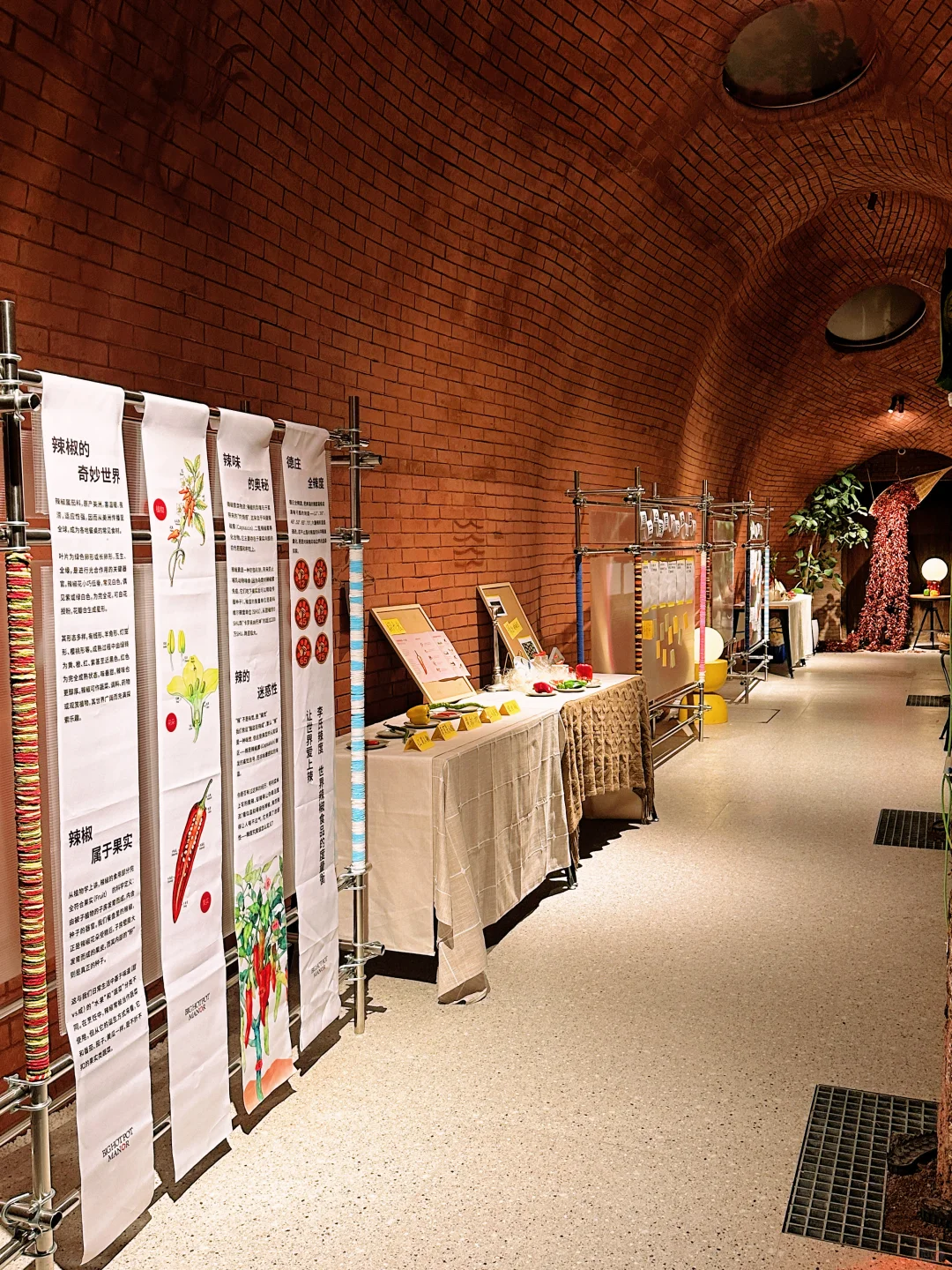 重庆新展|2025「趣·辣」辣椒展?️震撼来袭