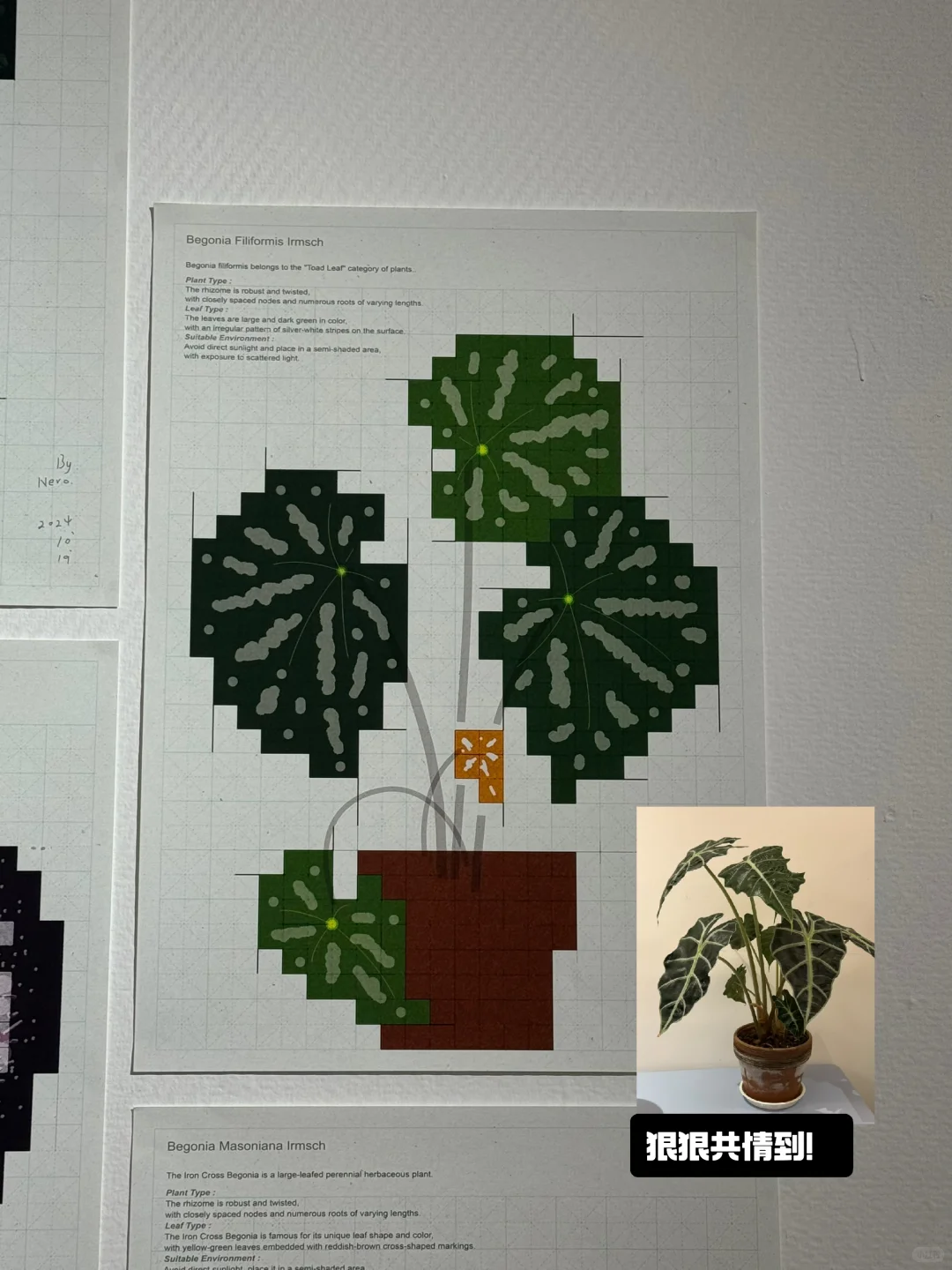 家居博主勇闯 Design360设计展?