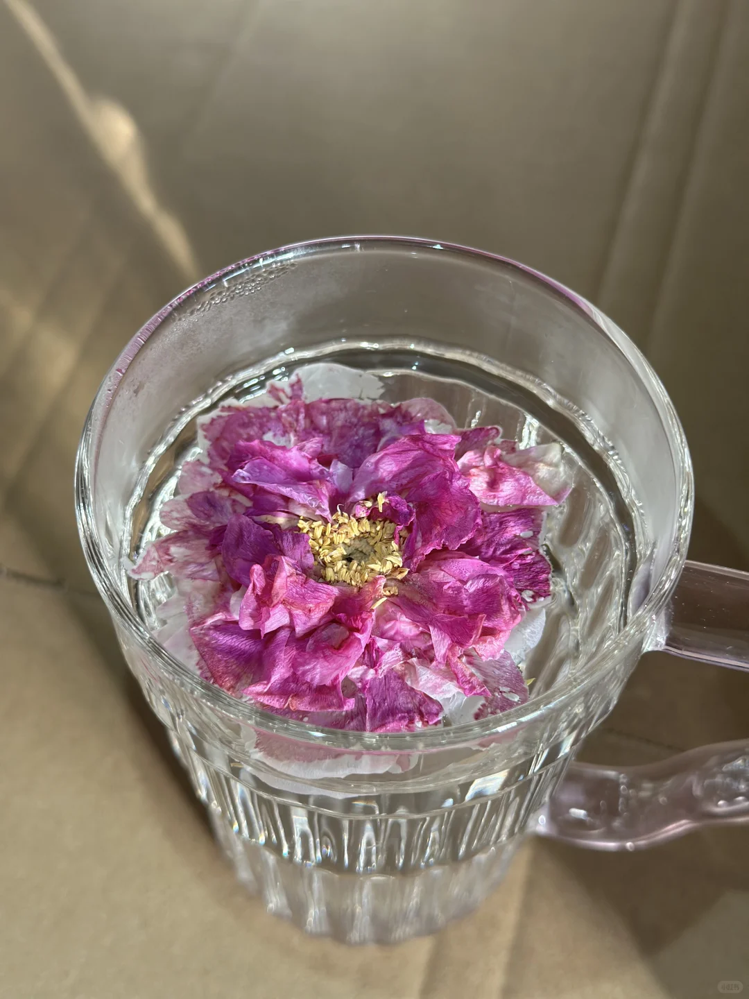 今天友好市集报名通过了，昨天还吐槽不给过