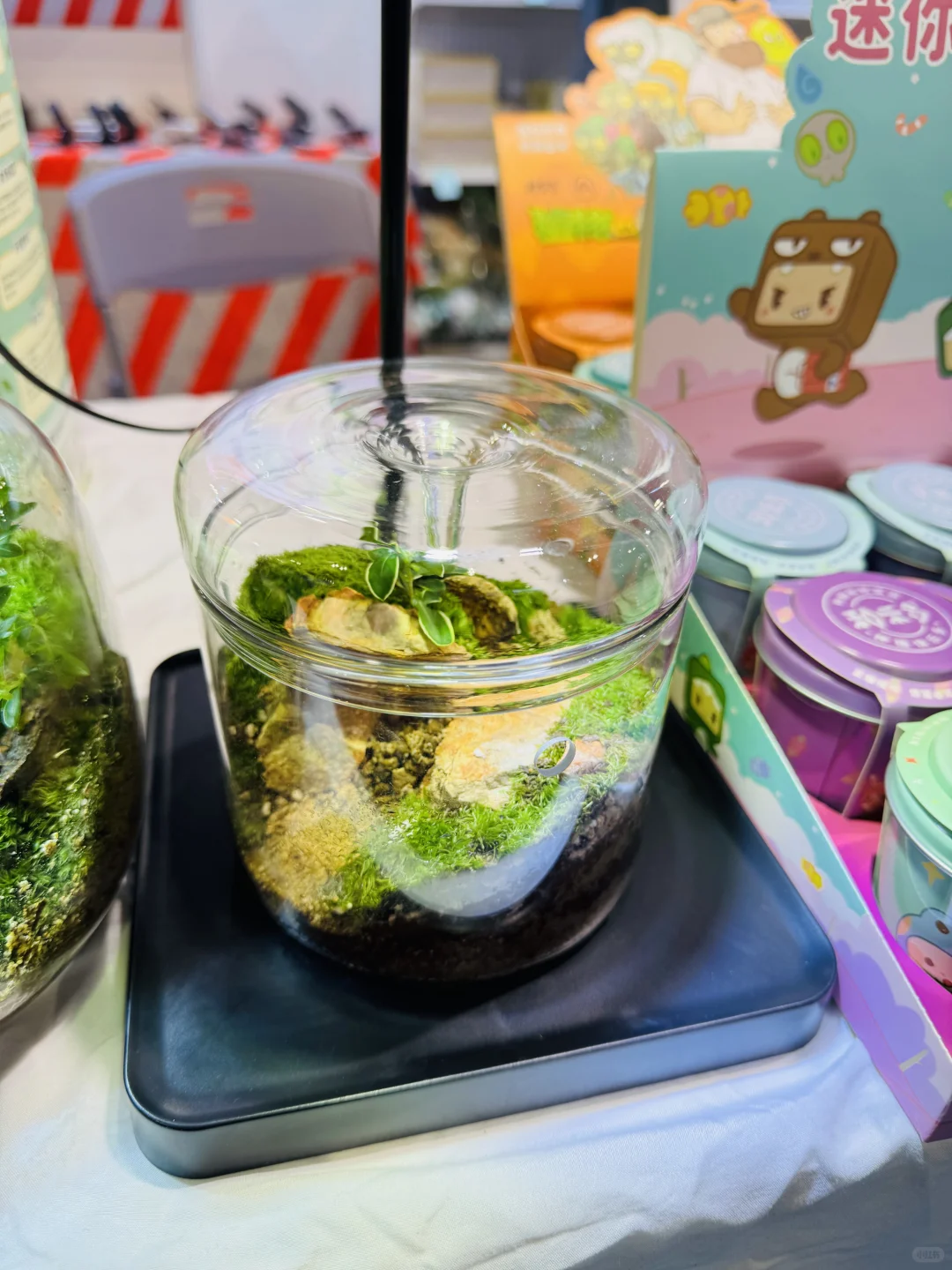 ? 手账党天堂 | 国际文具展首日速报