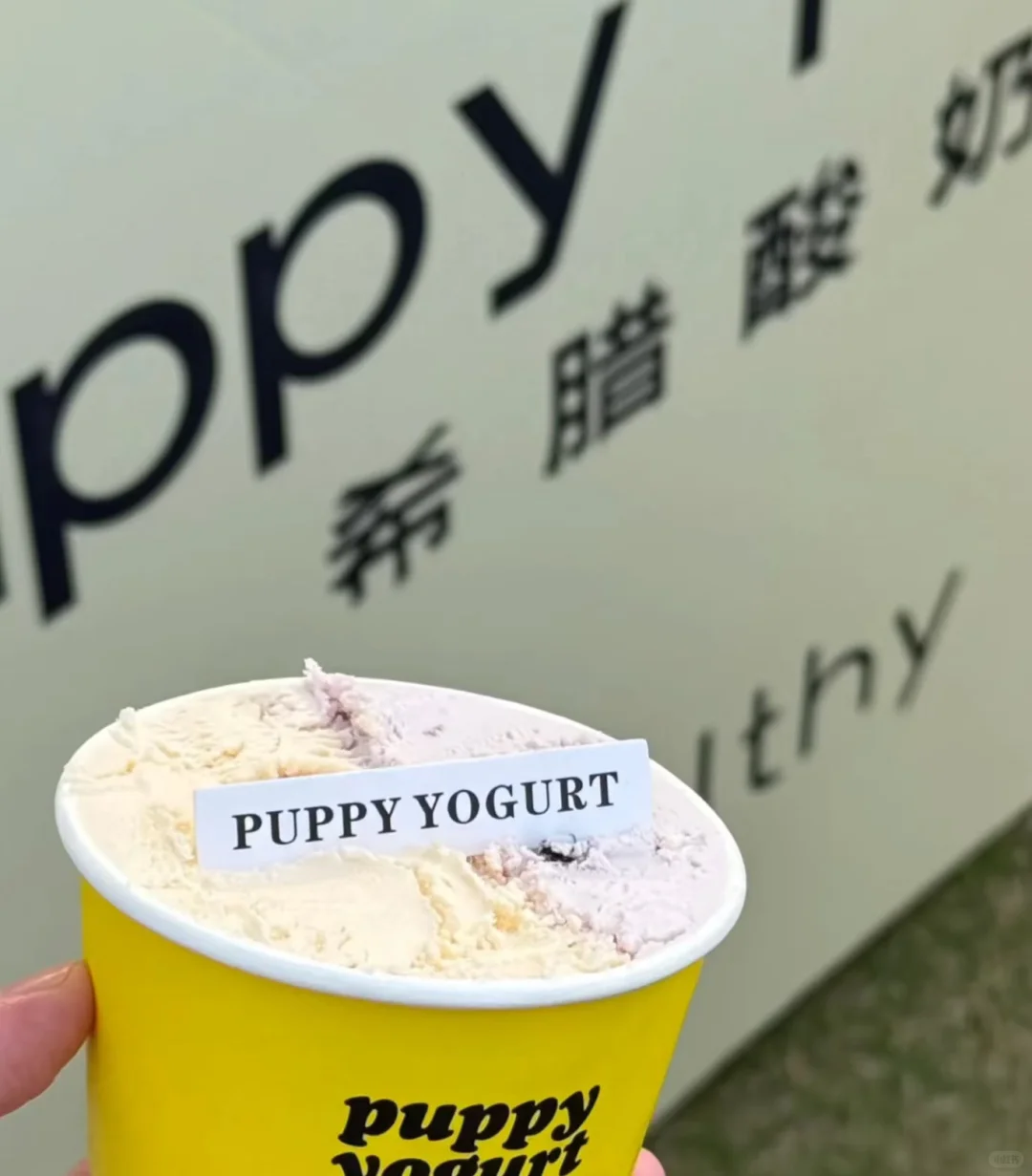 厦门咖啡展|抓20位试吃官啦！请你吃！