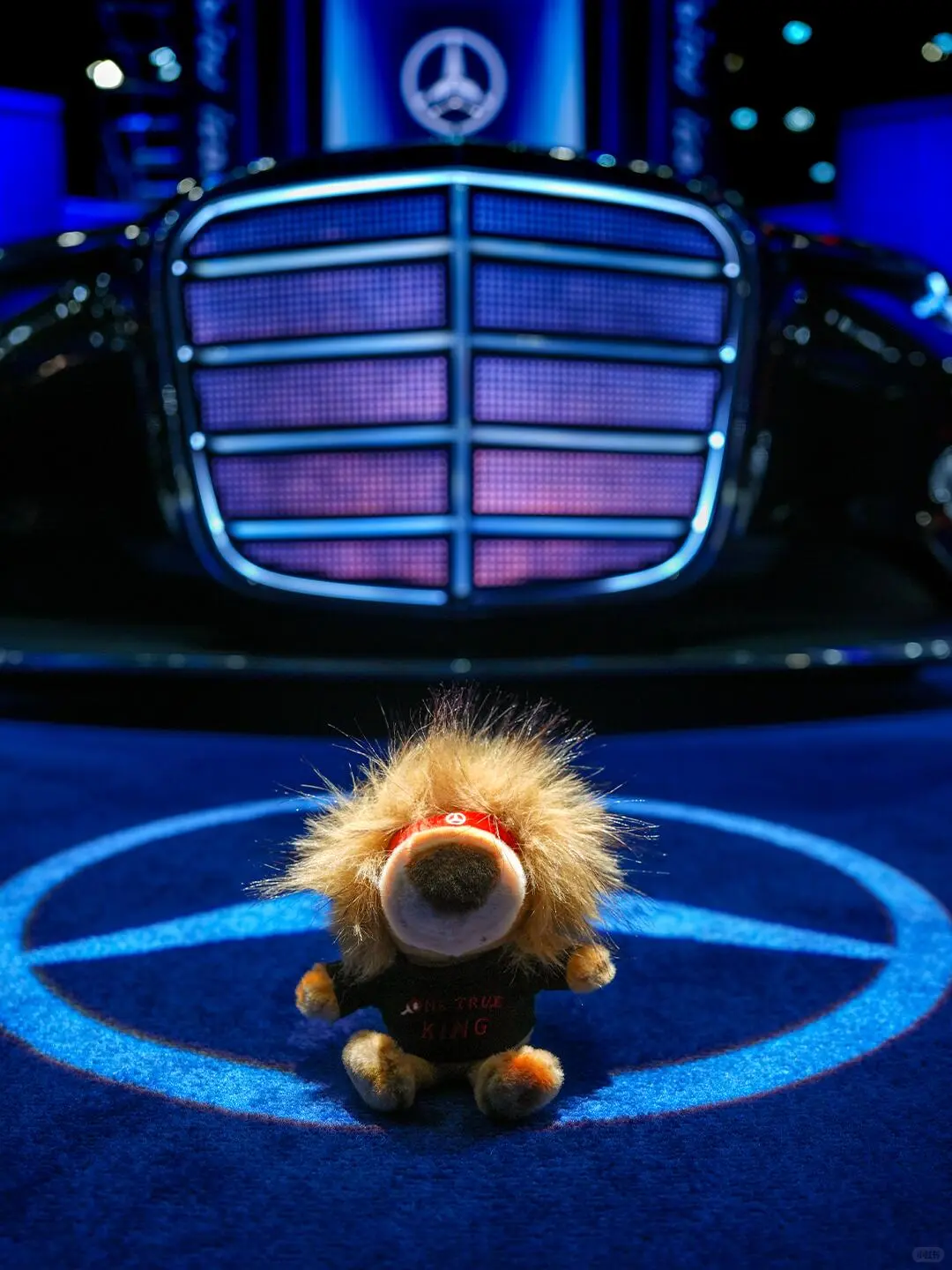 谁懂?惊喜太多！根——本——说不完！