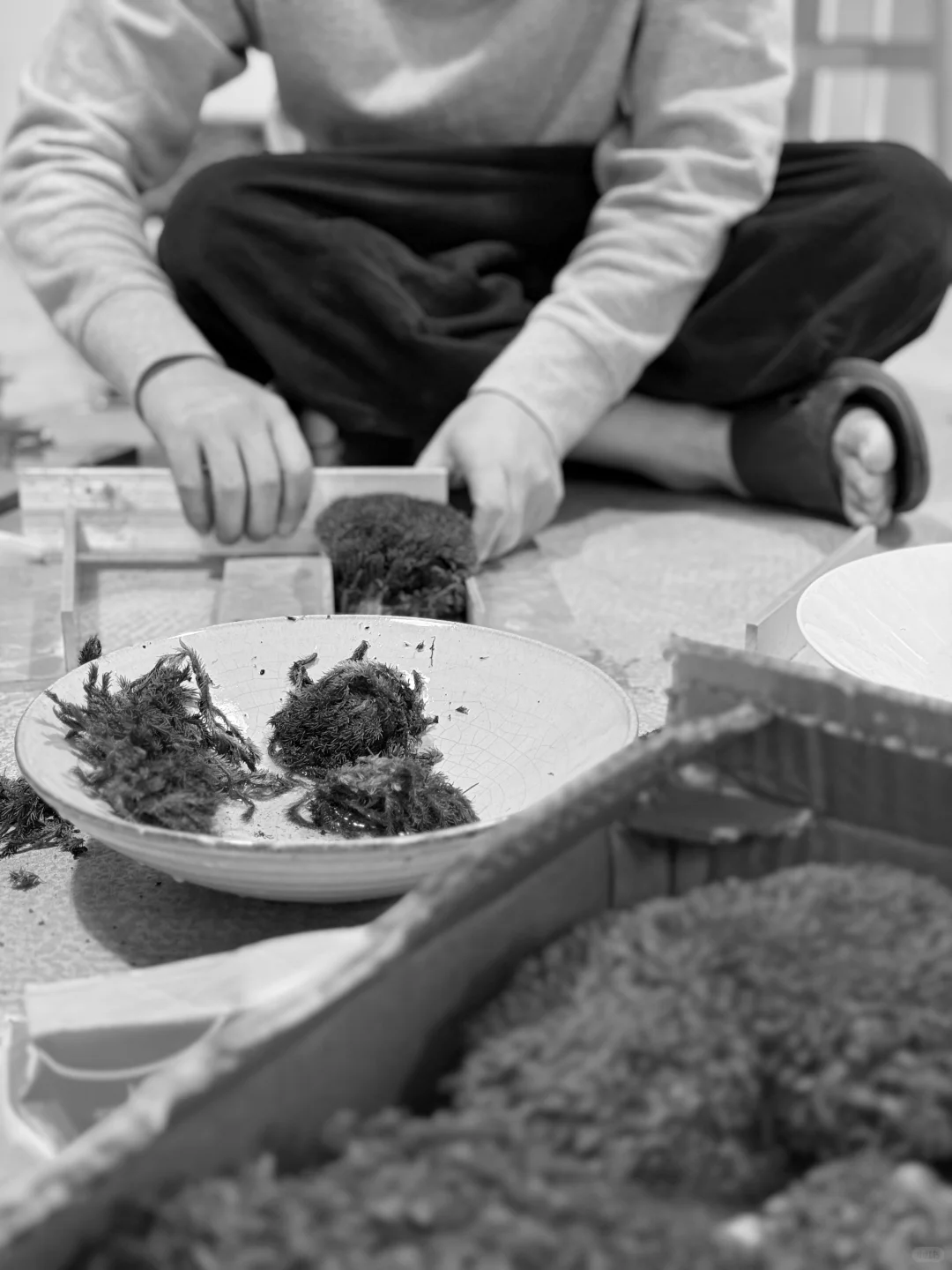 深圳湾文化广场丨《关于生活的物质副本》