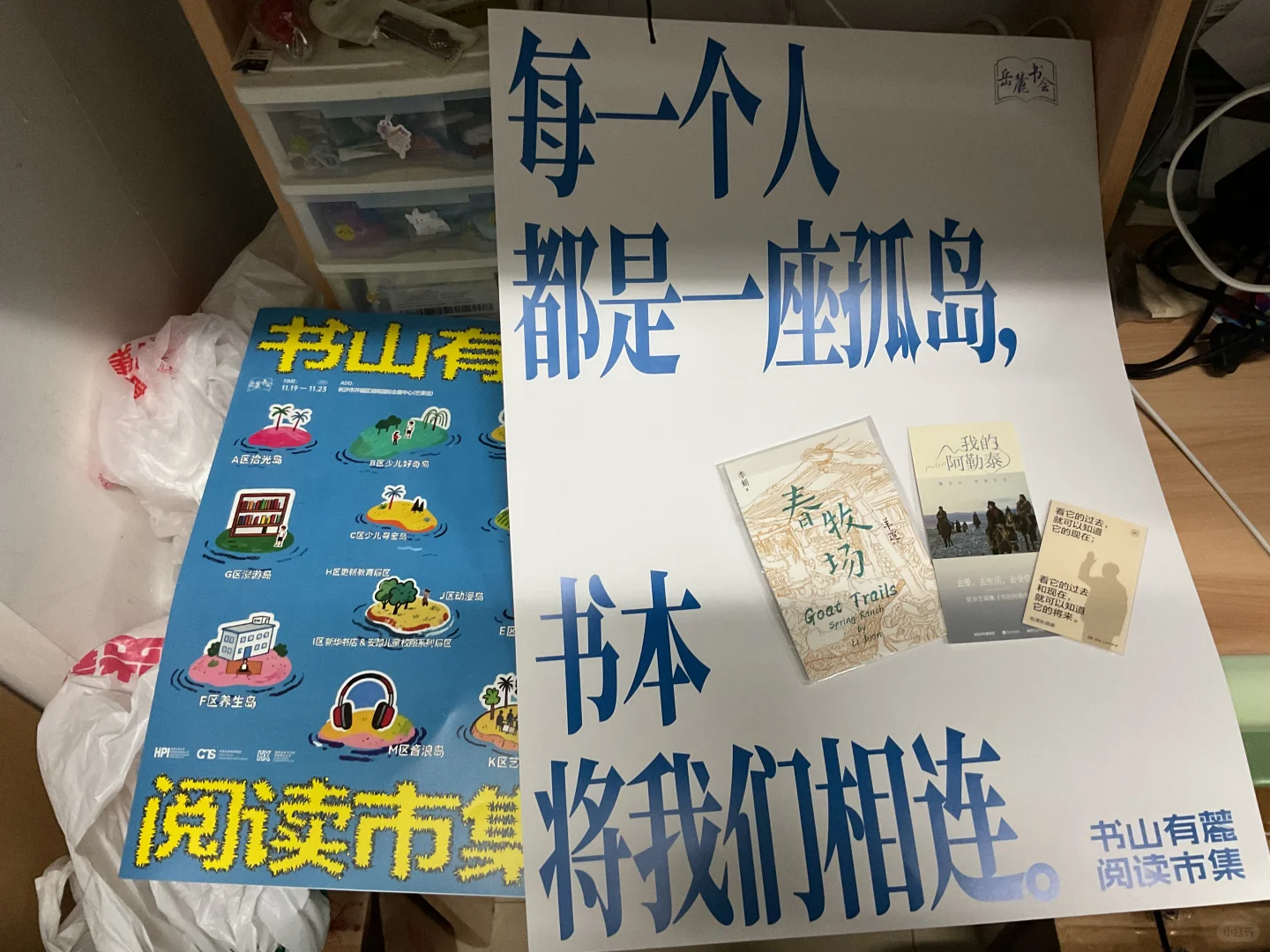 去岳麓书会淘书了