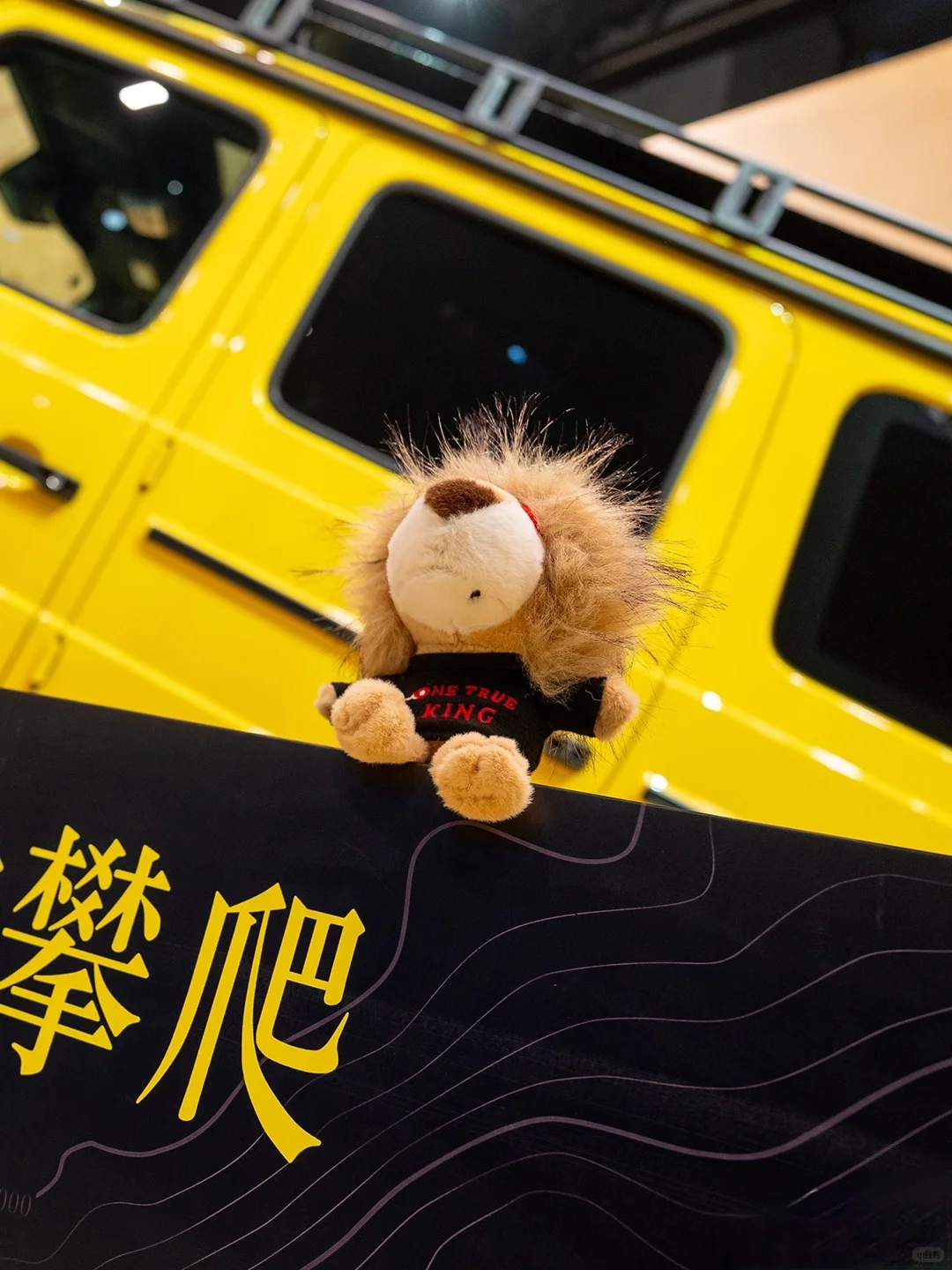 ?就喜欢这个金牛座CLA和小狮子?