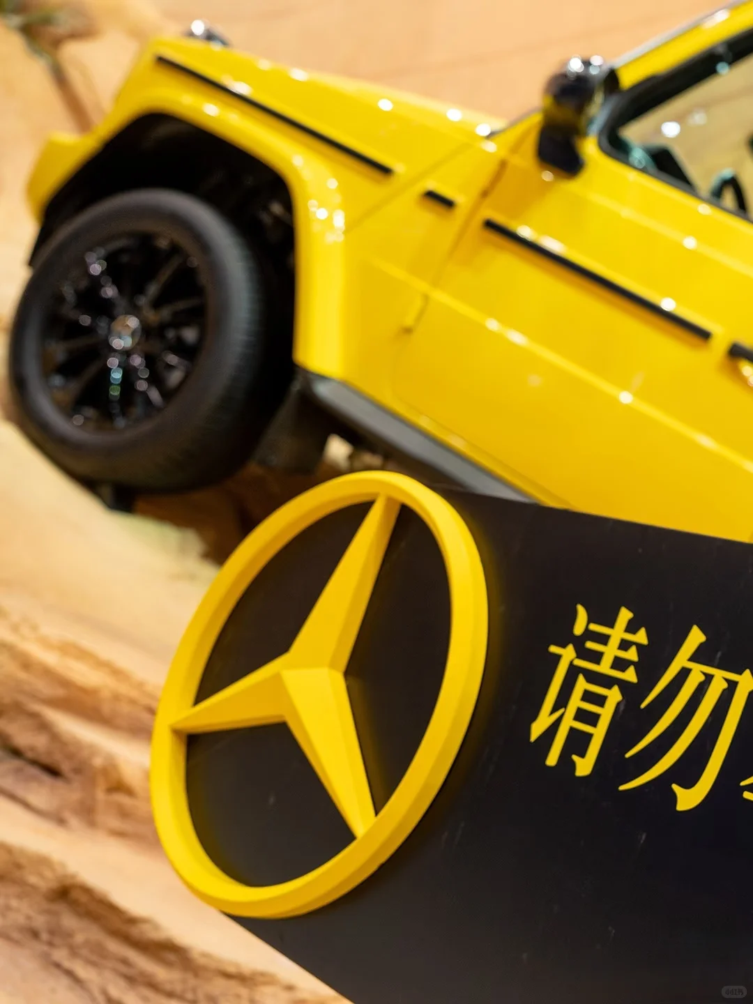 ?就喜欢这个金牛座CLA和小狮子?