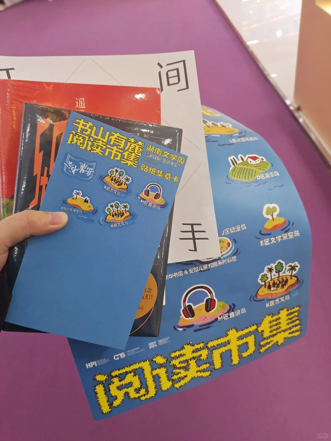 去岳麓书会淘书了