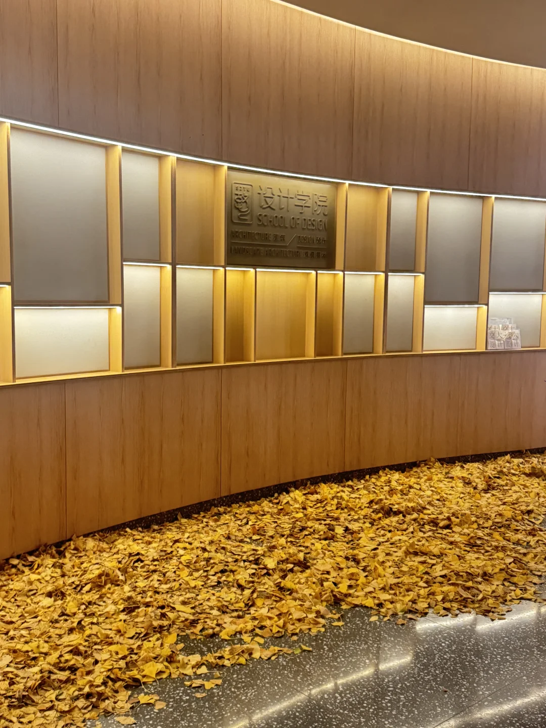 秋天降临设计大楼?上交设计有新展了！