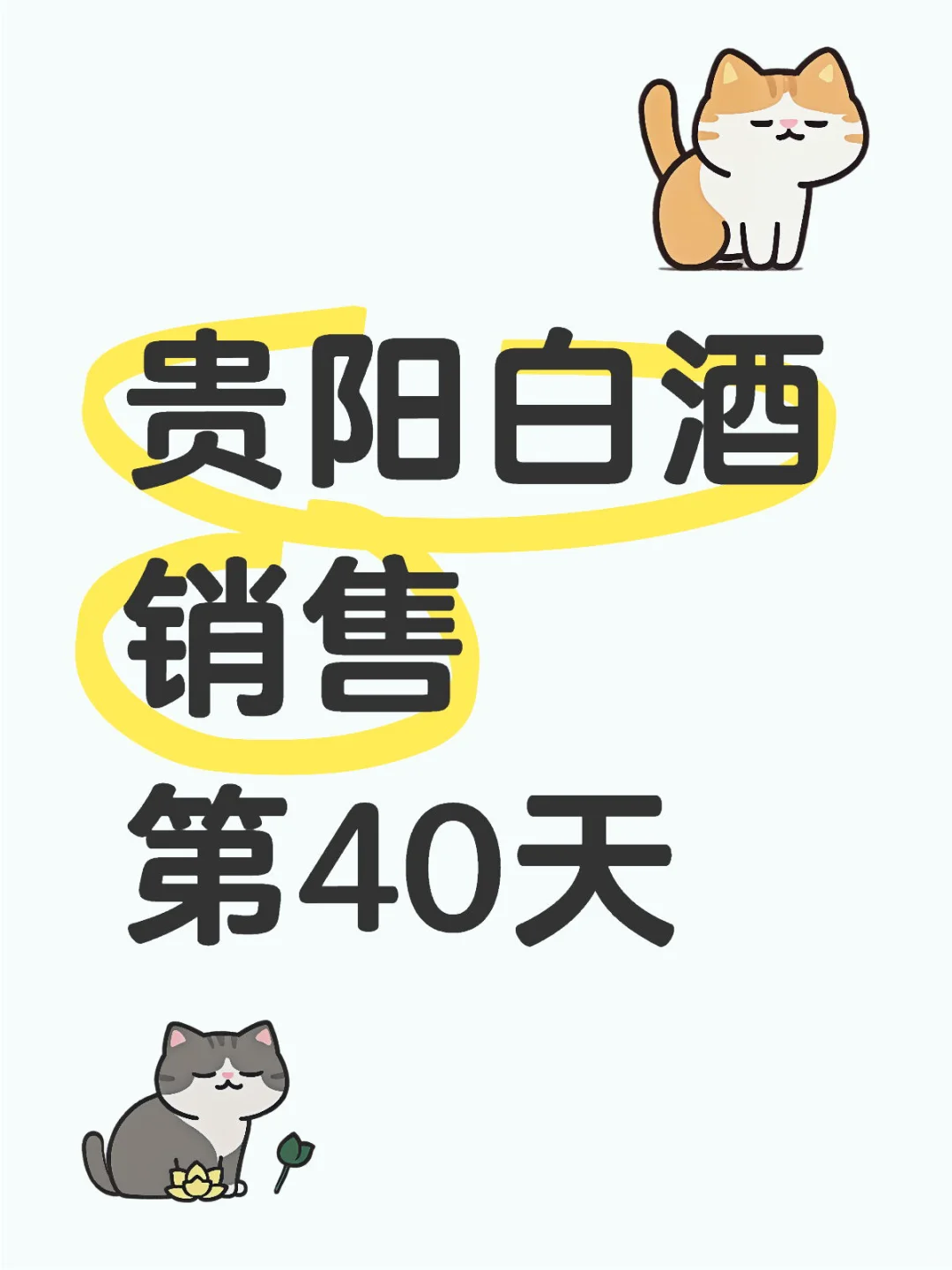 贵阳白酒销售第40天