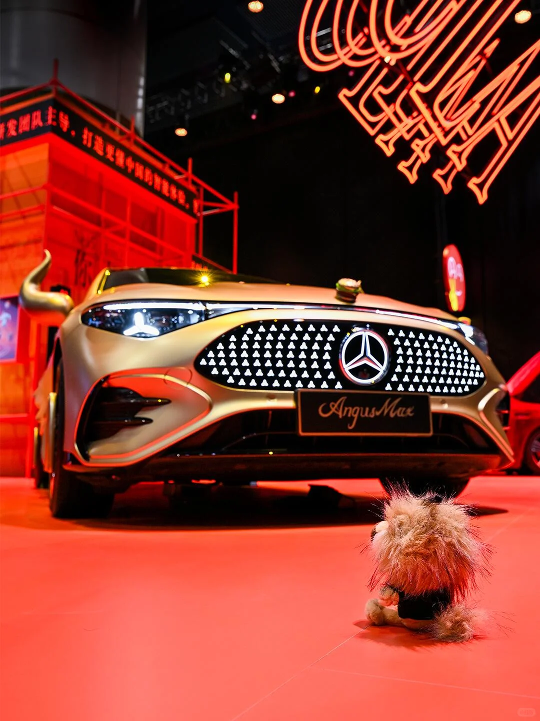 谁懂?惊喜太多！根——本——说不完！